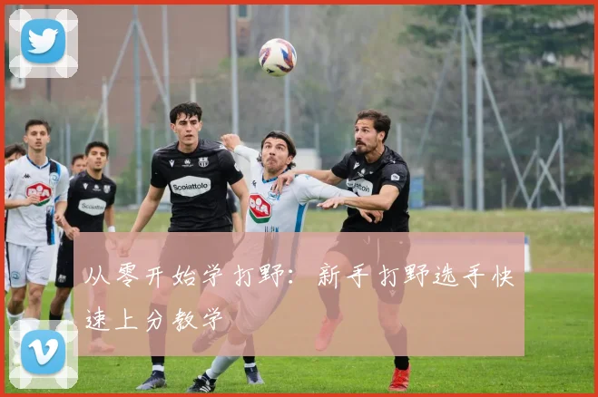 从零开始学打野：新手打野选手快速上分教学